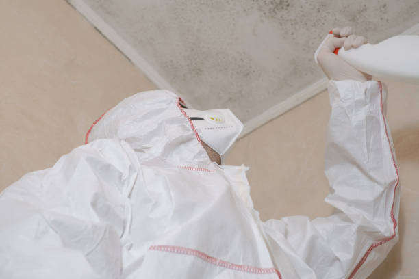 Best Water Damage & Mold Remediation  in Chino, CA